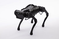 QUADRUPED A1 Basic