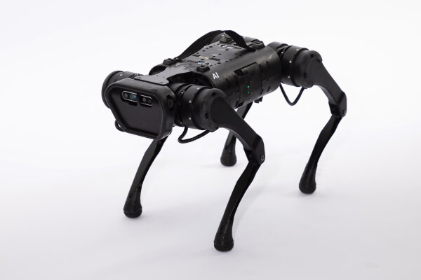 QUADRUPED A1 Explorer