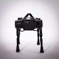 QUADRUPED A1 Explorer