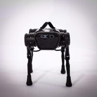 QUADRUPED A1 Explorer