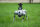 QUADRUPED Go2 EDU PLUS 3D LiDAR