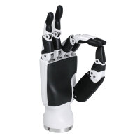 Inspire Robotics Dexterous Robotic Hand