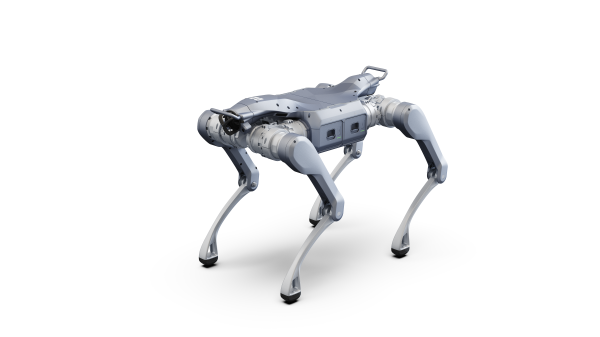 QUADRUPED A2