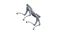 QUADRUPED A2
