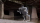 QUADRUPED A2
