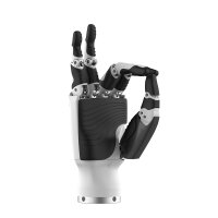 Inspire Robots Dexterous Robotic Hand