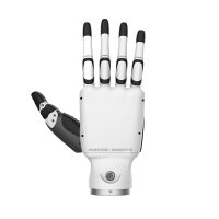 Inspire Robots Dexterous Robotic Hand