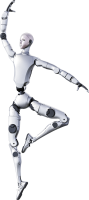 Unitree H2 (Humanoid Robot)